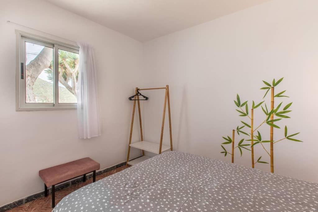 Anaga Experience: Mountain And Beach Retreat Таганана Екстер'єр фото